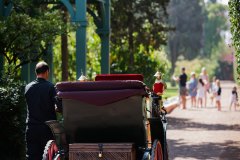 Donkey carriage, Gradens La Mamounia 2016