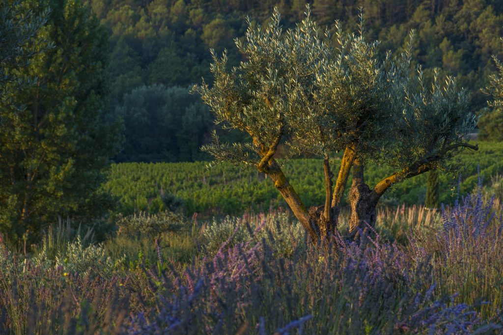 Château Berne week-end